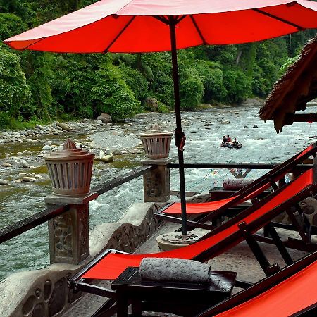 Ecotravel Cottages Bukit Lawang Esterno foto