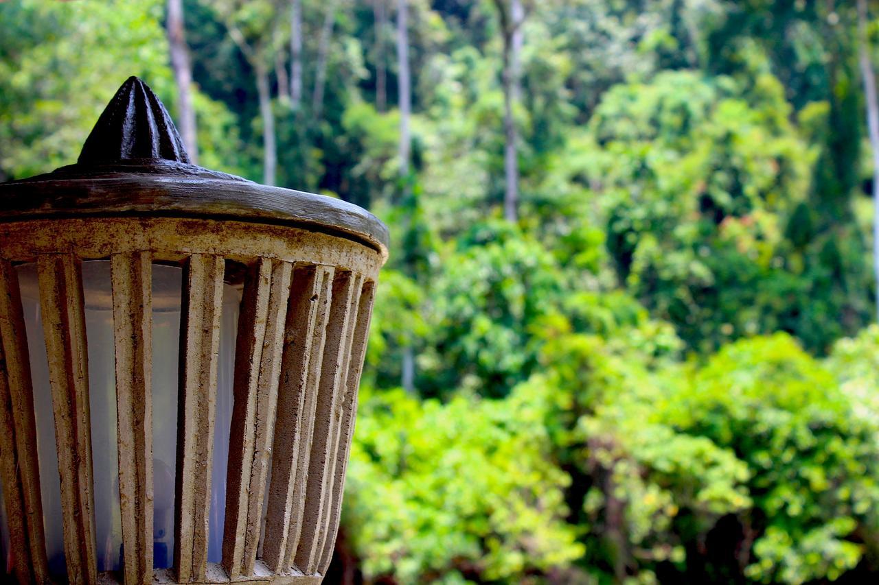 Ecotravel Cottages Bukit Lawang Esterno foto