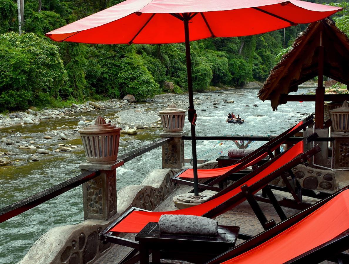 Ecotravel Cottages Bukit Lawang Esterno foto