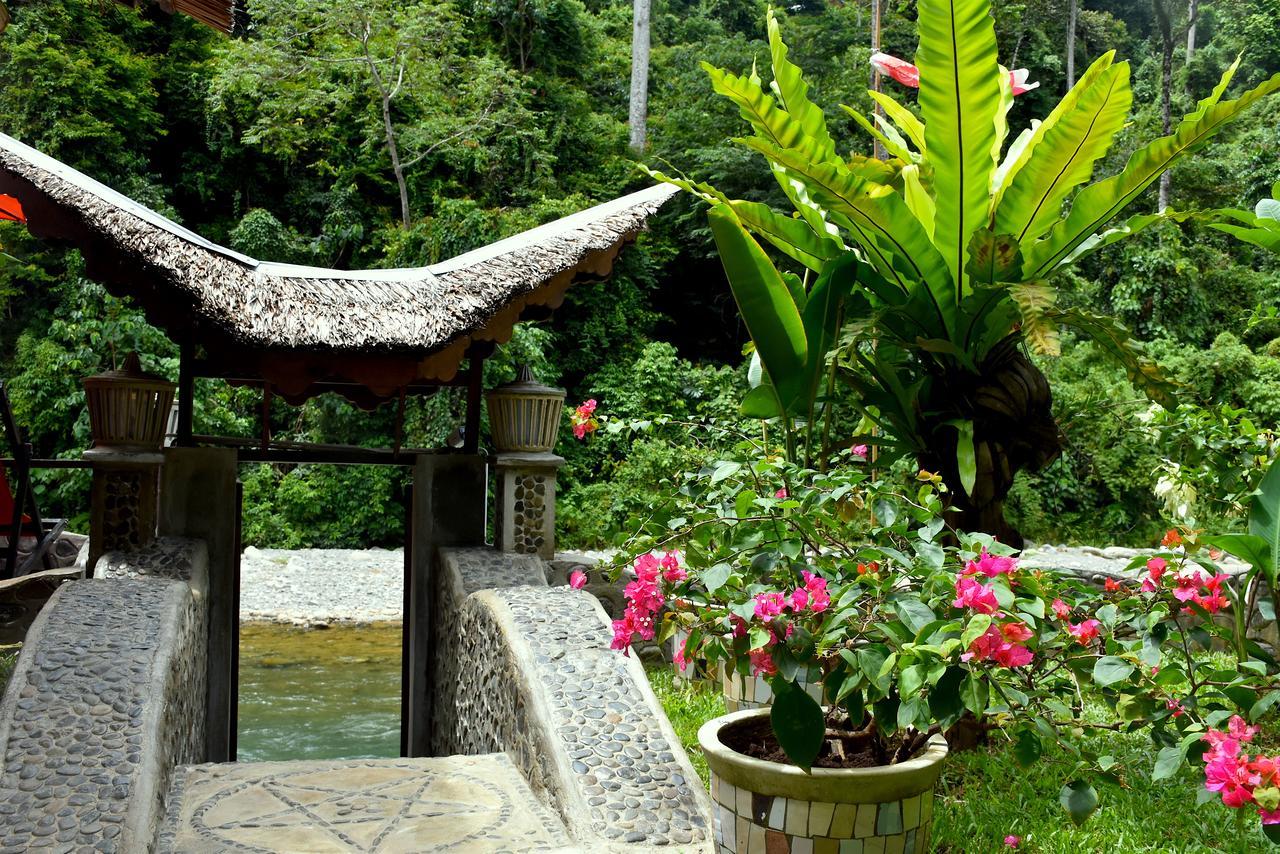 Ecotravel Cottages Bukit Lawang Esterno foto