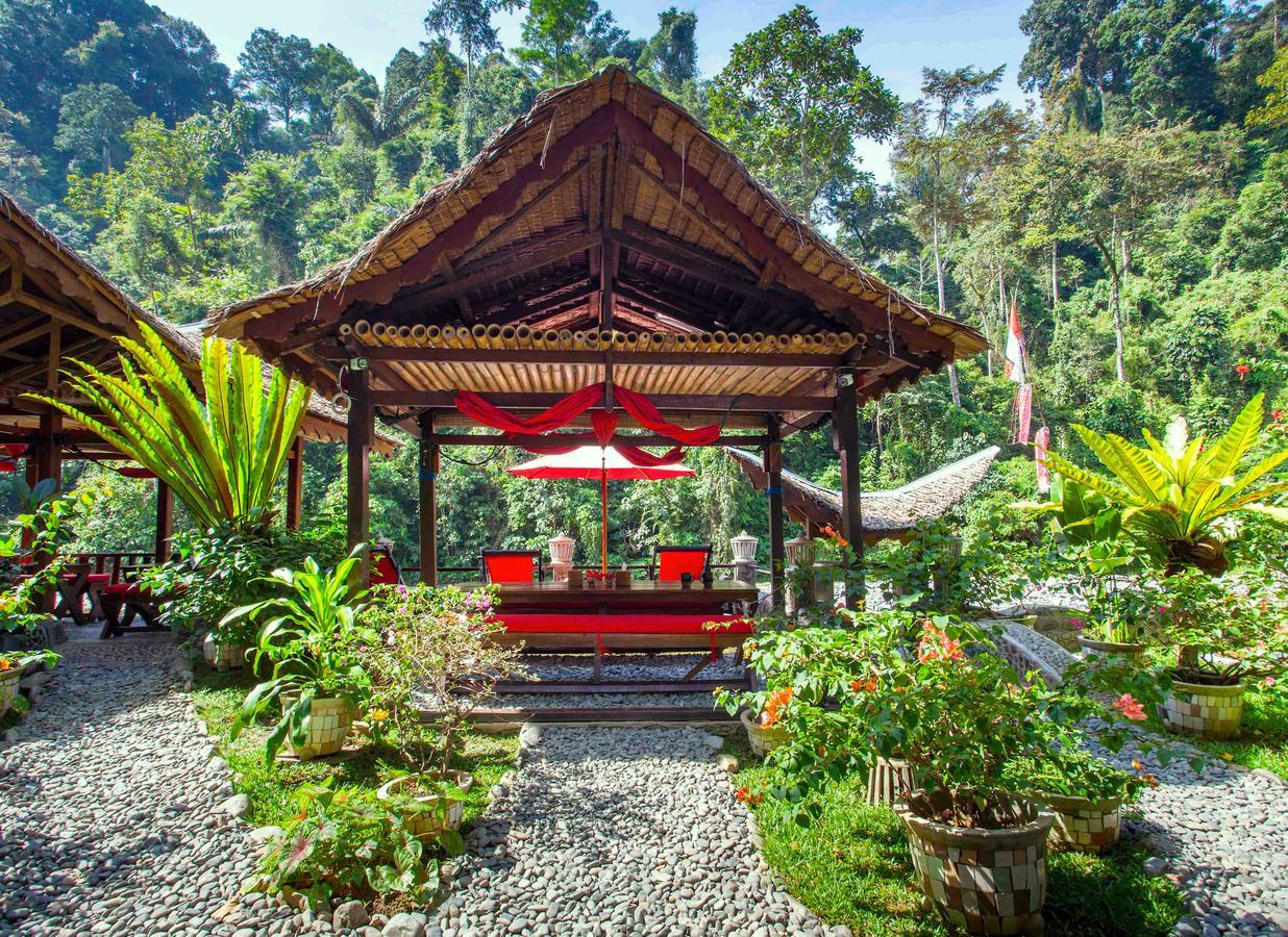 Ecotravel Cottages Bukit Lawang Esterno foto